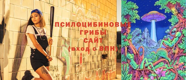 гашик Алексеевка