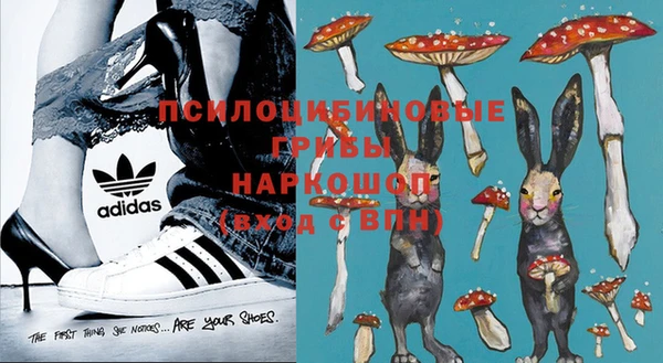 гашик Алексеевка