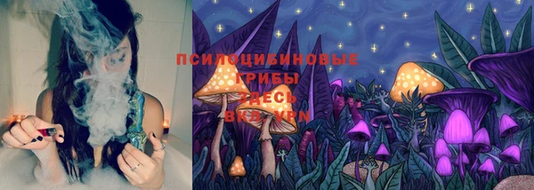 гашик Алексеевка